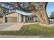 Charming ranch home with a large tree and updated landscaping at 3911 King Dr, Brandon, FL 33511