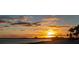 Picturesque sunset view over the water, painting the sky with golden colors, with palm trees silhouetted on the shore at 464 N Paula Dr # 322, Dunedin, FL 34698