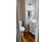 Small bathroom with toilet and white vanity at 4229 La Sorrento Ct, Tampa, FL 33611