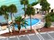 Community pool with palm trees and surrounding patio at 4525 Cove Cir # 1002, St Petersburg, FL 33708