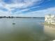 Stunning view of calm water with boats and distant cityscape at 4525 Cove Cir # 1002, St Petersburg, FL 33708