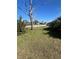 Simple front yard with grass and a mature tree at 2508 50Th N Ave, St Petersburg, FL 33714