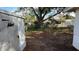 Large backyard with shed and mature tree at 5641 1St Ne St, St Petersburg, FL 33703