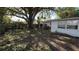 Backyard with large tree and partial fence view at 5641 1St Ne St, St Petersburg, FL 33703