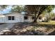 A single story home with a tree in front and driveway at 5641 1St Ne St, St Petersburg, FL 33703