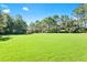 Expansive green space, perfect for community events or recreation, enhanced by mature trees at 9418 W Park Village Dr # 105, Tampa, FL 33626