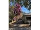 Driveway entrance with vibrant bougainvillea at 10419 N Oregon Ave, Tampa, FL 33612