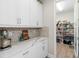Walk-in pantry with built-in shelving and quartz countertop at 14672 Horse Trot Rd, Lithia, FL 33547