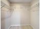 Walk-in closet with wire shelving at 23315 Charlston Pl, Land O Lakes, FL 34639