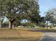 Landscaped community road with large oak trees at 23315 Charlston Pl, Land O Lakes, FL 34639
