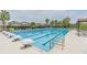 Resort-style lap pool in a community setting, perfect for exercise and relaxation, with lounge seating and shade at 7122 Heron Walk Ln, Wesley Chapel, FL 33545