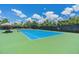 Community tennis court with green and blue surface, complete with net, surrounded by a privacy fence at 7122 Heron Walk Ln, Wesley Chapel, FL 33545