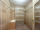 Walk-in closet with wire shelving, wooden walls and built-in drawers for clothing storage at 225 N Saint Thomas Cir, Apollo Beach, FL 33572