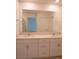 Double vanity bathroom with modern finishes and large mirror at 22547 Storybook Cabin Way, Land O Lakes, FL 34637