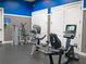 Community gym with cardio equipment at 22547 Storybook Cabin Way, Land O Lakes, FL 34637