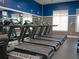 Community gym with treadmills at 22547 Storybook Cabin Way, Land O Lakes, FL 34637