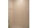 Clean shower with white subway tile walls at 22547 Storybook Cabin Way, Land O Lakes, FL 34637