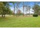 Spacious backyard with lush green grass and mature trees at 3309 Lori Ln, New Port Richey, FL 34655