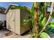 Tan shed with wooden door in backyard, surrounded by lush tropical landscaping at 115 Athens St, Tarpon Springs, FL 34689