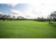 Expansive green golf course with trees and fairways at 8015 Willow Brook Dr, Spring Hill, FL 34606