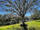 Peaceful backyard landscape with a large oak tree and pond at 9336 Villa Entrada, New Port Richey, FL 34655