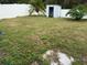 Backyard with storage shed and fenced perimeter at 18229 Port Side St, Tampa, FL 33647