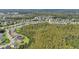 An aerial view of a neighborhood with dense surrounding trees and well-maintained homes with manicured lawns at 4735 Rolling Green Dr, Wesley Chapel, FL 33543