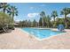 Enjoy the sunshine at the community pool with plenty of lounge chairs and beautiful palm trees at 4735 Rolling Green Dr, Wesley Chapel, FL 33543