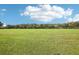 Vast green recreation field perfect for soccer, frisbee, and other outdoor activities under the bright sky at 4735 Rolling Green Dr, Wesley Chapel, FL 33543