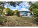 Expansive backyard with mature palm trees and lush landscaping, perfect for outdoor living at 415 21St N St, St Petersburg, FL 33713