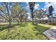 Spacious backyard with lush grass and mature trees at 19505 Coachlight Way, Lutz, FL 33549