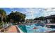 Inviting swimming pool with clear water, marked lanes, lounge chairs, and surrounding landscaping for relaxation at 3031 Countryside Blvd # 35C, Clearwater, FL 33761