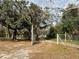 Gravel driveway leading to a property with mature trees and a fenced yard at 1319 Vance Rd, Plant City, FL 33566
