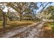 Expansive acreage with mature trees and natural grasses, perfect for building or recreation at 1319 Vance Rd, Plant City, FL 33566