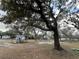 Expansive lot with mature trees and established structures, offering a blend of natural beauty and practical facilities at 1319 Vance Rd, Plant City, FL 33566