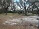 Wooded lot featuring mature trees, an open landscape, and visible utilities for easy development at 1319 Vance Rd, Plant City, FL 33566