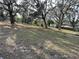 Picturesque land featuring mature trees draped with Spanish moss, offering a serene setting and natural beauty at 1319 Vance Rd, Plant City, FL 33566