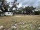 Large open property with mature trees and simple outbuildings, combining rural charm with usable structures at 1319 Vance Rd, Plant City, FL 33566