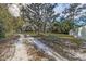 Lush property with mature trees, offering a serene and expansive outdoor space at 1319 Vance Rd, Plant City, FL 33566