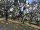 A large yard with mature trees providing ample shade and natural surroundings at 1319 Vance Rd, Plant City, FL 33566