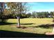 A serene view of a sprawling backyard offering ample space and natural beauty at 11021 Edge Park Dr, Hudson, FL 34667