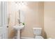 Neat half bathroom with pedestal sink, mirror, and toilet at 20314 Chestnut Grove Dr, Tampa, FL 33647