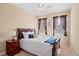 Bright bedroom featuring two windows and a ceiling fan at 20314 Chestnut Grove Dr, Tampa, FL 33647