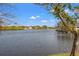 Beautiful serene lake view with lots of different types of wildlife at 7233 15Th Ne Ct, St Petersburg, FL 33702