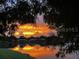 Scenic sunset view over the water with colorful reflections, seen through the silhouette of tree branches at 7233 15Th Ne Ct, St Petersburg, FL 33702