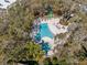 Aerial view of the community pool, spa, shuffleboard court and lounging area surrounded by mature trees at 831 Maple Ct # 303, Dunedin, FL 34698