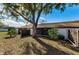 Charming backyard with mature tree providing ample shade at 1725 Pine Ridge E Way # E, Palm Harbor, FL 34684