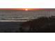Scenic beach sunset with a calming ocean view, partially obscured by vegetation at 18650 Gulf Blvd # 413, Indian Shores, FL 33785