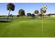 Scenic golf course view featuring lush green grass, palm trees, and water hazard with a checkered flag at 609 Fort Duquesna Dr, Sun City Center, FL 33573