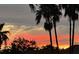 Stunning sunset featuring silhouetted palm trees and vibrant colors at 10626 Restoration Ter, Bradenton, FL 34212